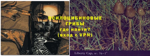 спиды Наволоки