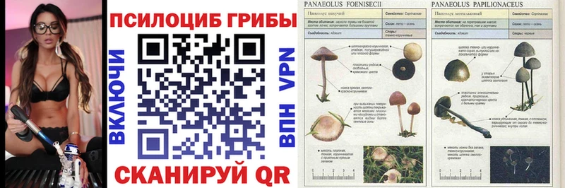 Галлюциногенные грибы Magic Shrooms  Бакал 